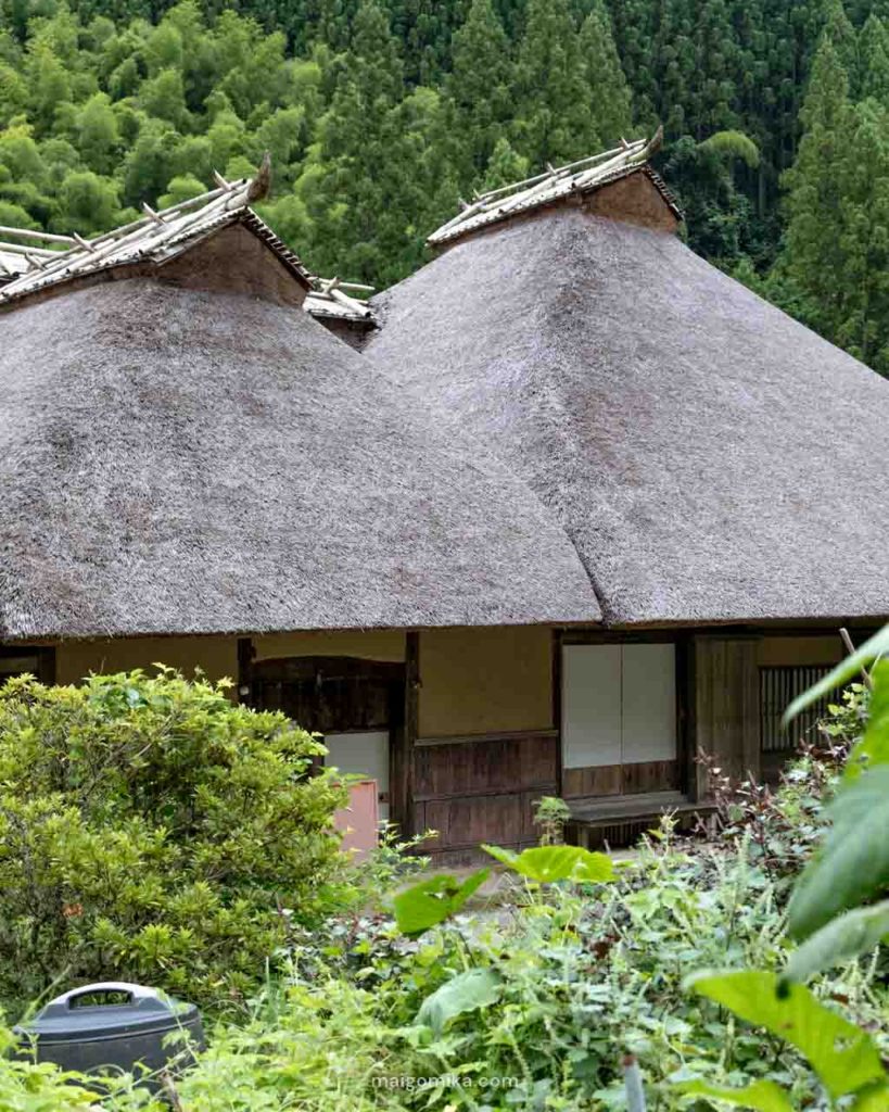 two Japanese houses with traditional thatched roof