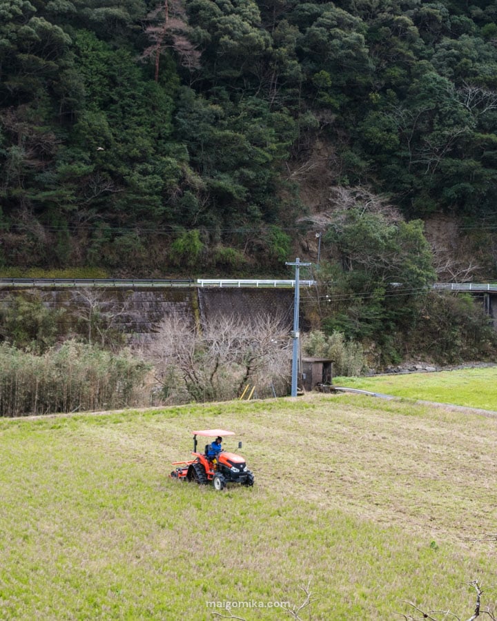 Japanese tracker in rice field
