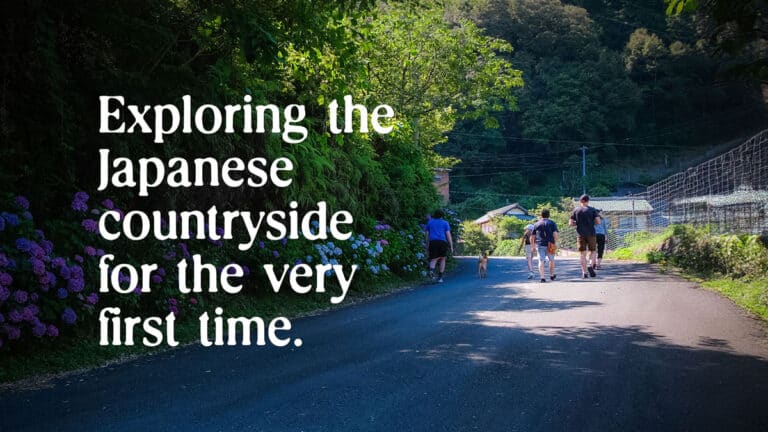 people walking in sunlight with hydrangeas on the side of the path in a rural part of Japan
