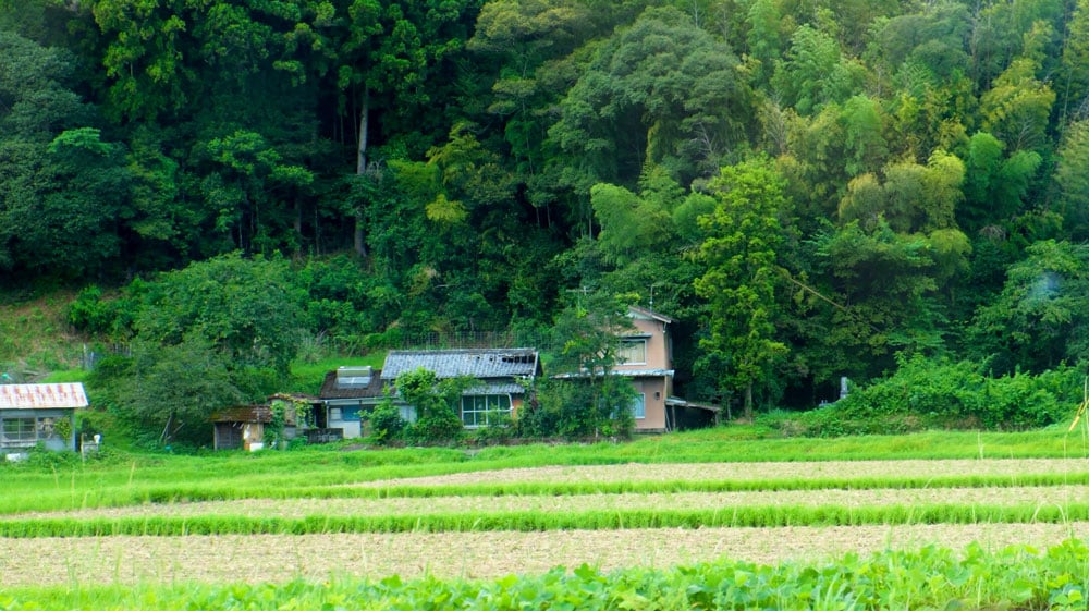 an old Japanese house with roof caving in