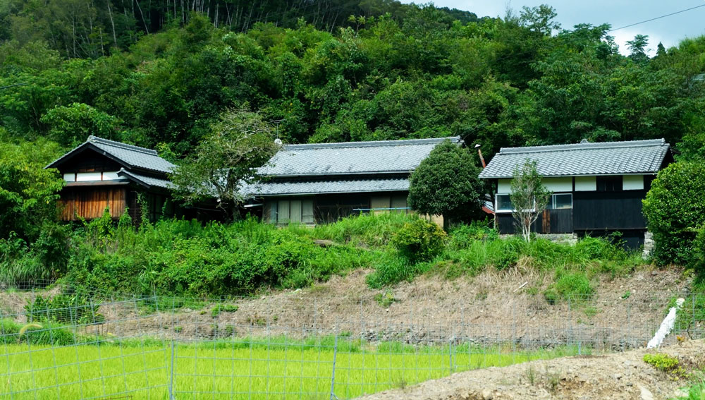 a three-building Japanese house in the countryside, set in greenery