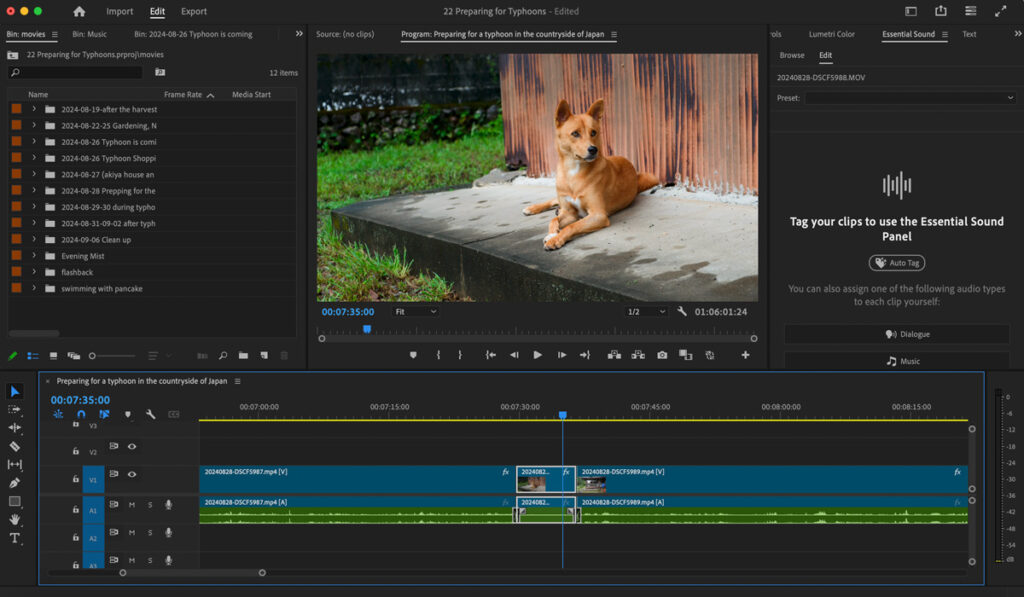 adobe premiere pro dashboard with dog sitting feature in the main screen.