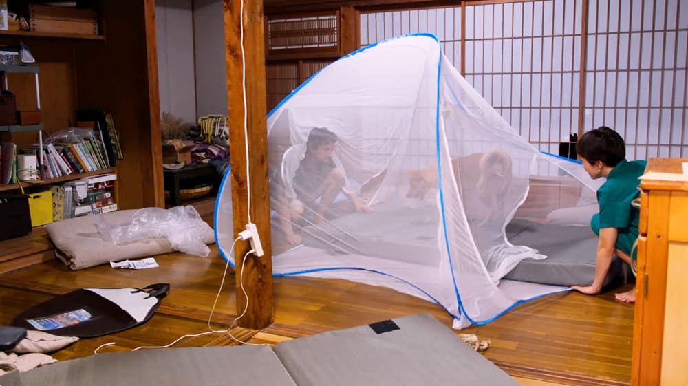 two people setting of a bug tent in an old Japanese house