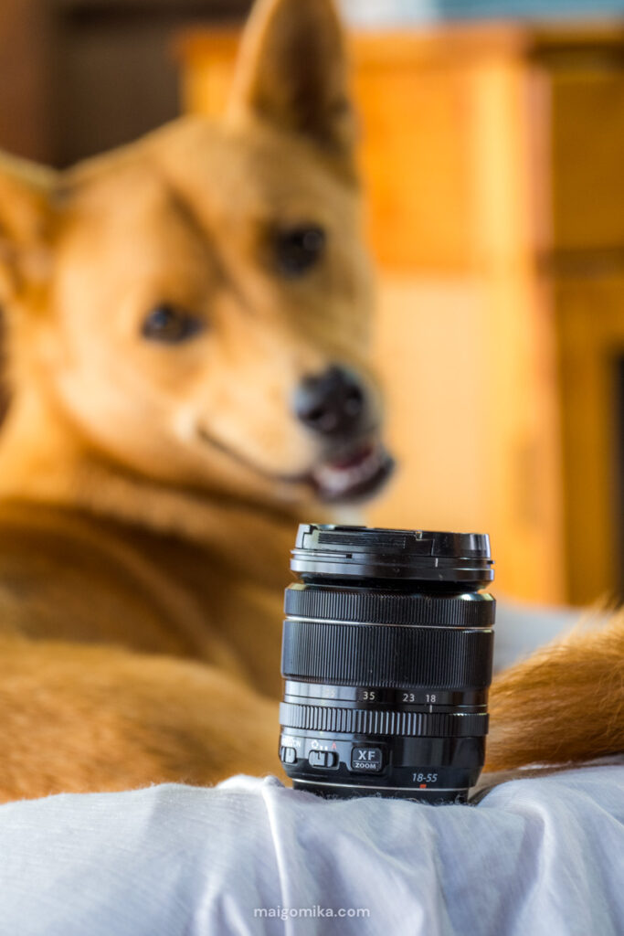 FUJINON XF18-55mmF2.8-4 R lens, part of a youtube equipment and gear list, on bed with yellow dog in the background