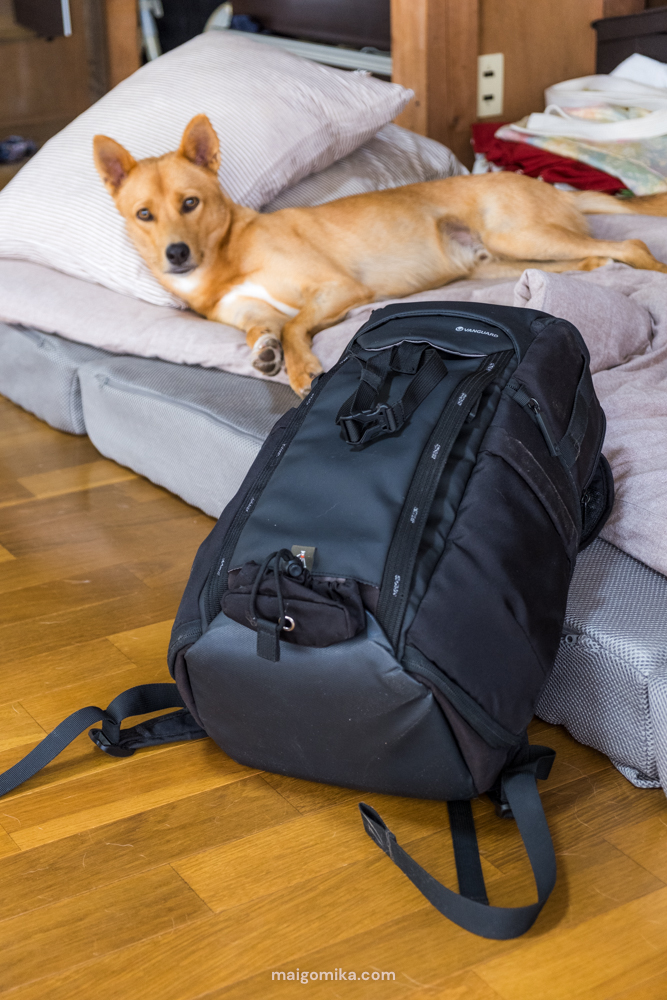 dog laying behind a camera bag- the VEO Adaptor S46 Black Camera Backpack, used commonly as a youtuber or camera bag