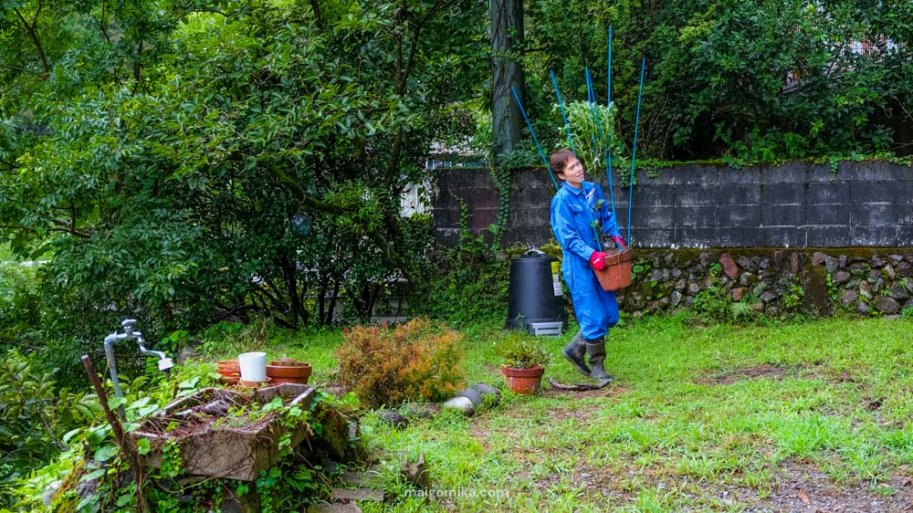 woman in blue carrying a potted plant