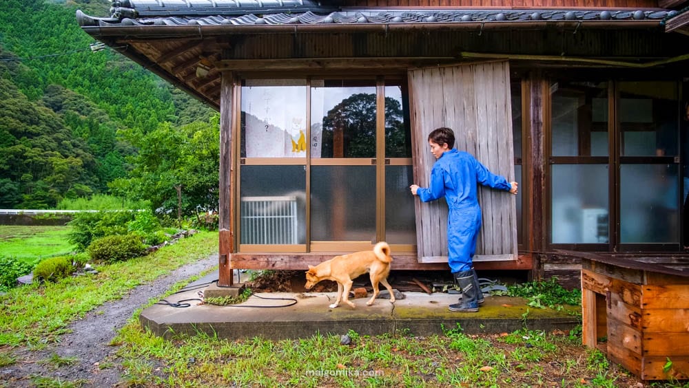 Woman carrying an amado storm door around a traditional Japanese house, with dog.
