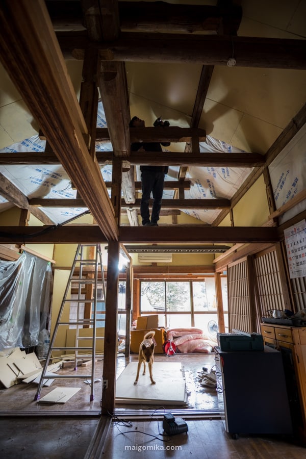 maigo-mika-countryside-2025-04-web-20250402-DSCF1177 Man standing on scaffolding in Japanese house that is under renovation, with dog.