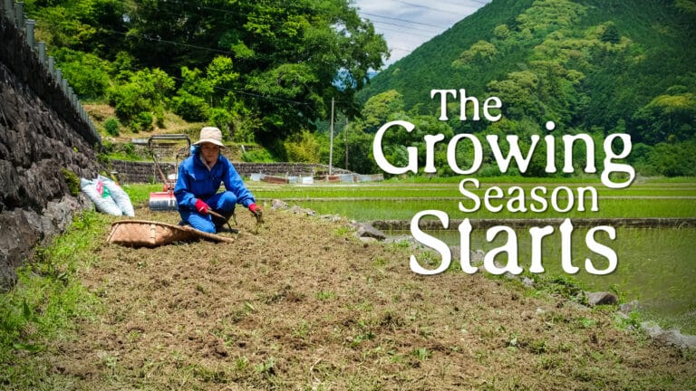 Maigo Mika in blue coveralls sitting in the field gardening