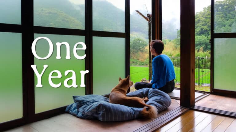 woman sitting on edge of engawa, a Japanese balcony, with a orange sitting next to her