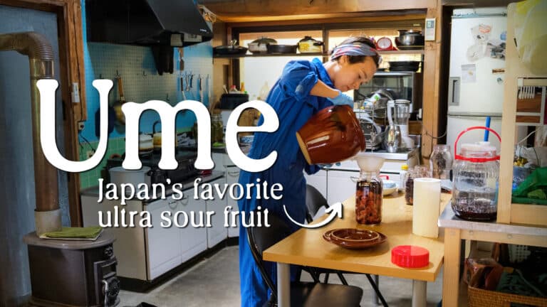 Woman making umeboshi using ume plums, a classic Japanese cuisine