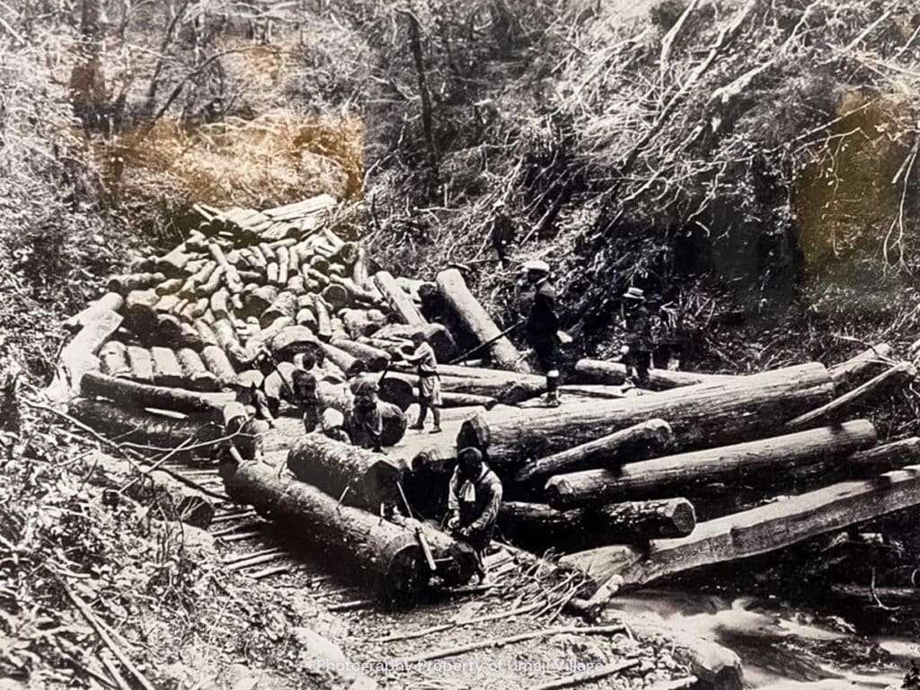 historic black and white picture of people standing on top of lumber in Japan