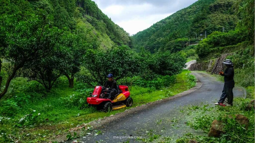 two people cutting weeds and grass, one on a lawnmower, in Umaji Village, Japan