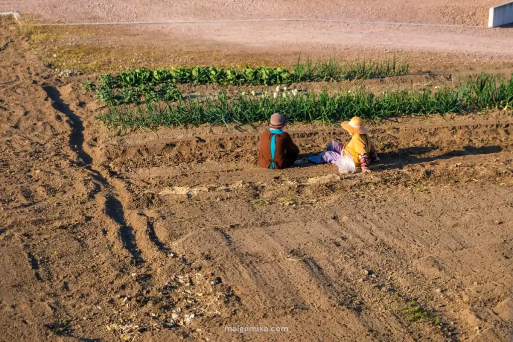 two Japanese locals sitting by their garden chatting.