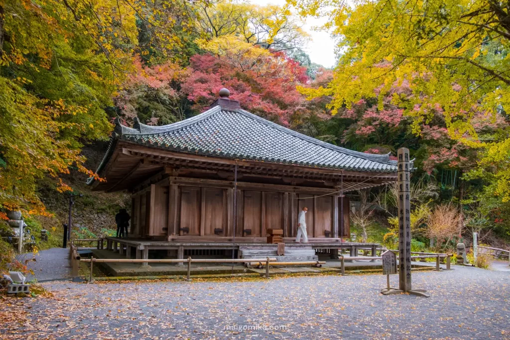 Fukiji Temple in Oita Prefecture with autumn leaves and trees in the background